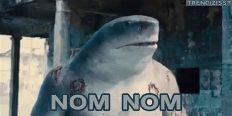 nom nom gif|king shark nom nom gif.